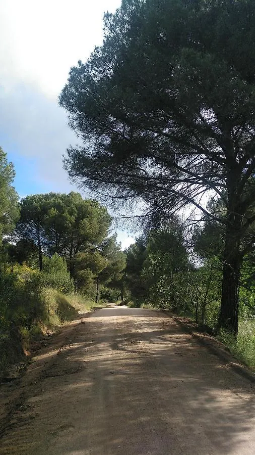 Vakantiehuis La Isabelita Villa Andújar Spanje