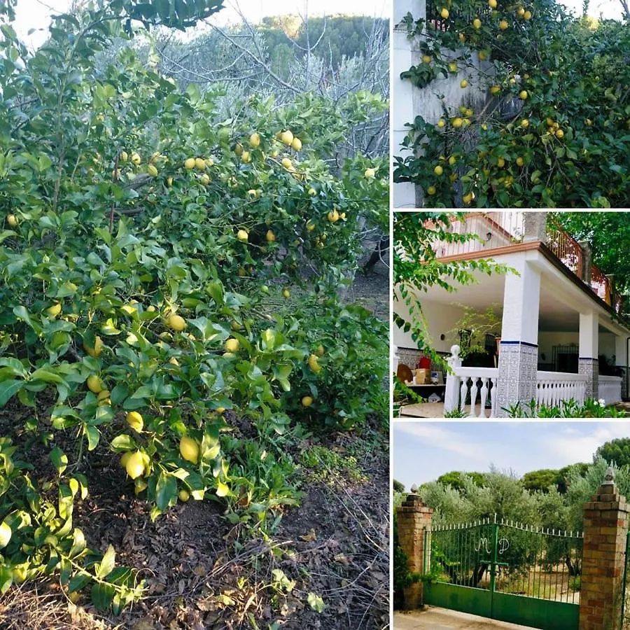 La Isabelita Villa Andújar Vakantiehuis