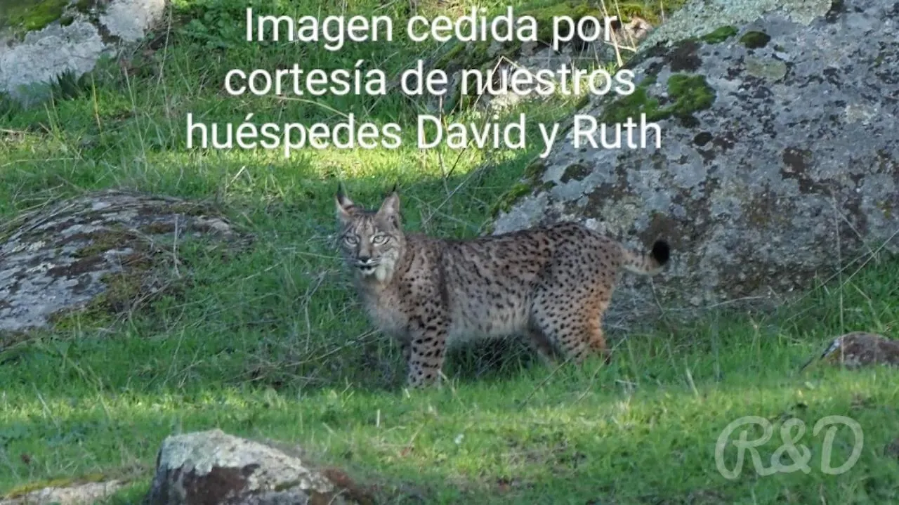 Vakantiehuis La Isabelita Villa Andújar